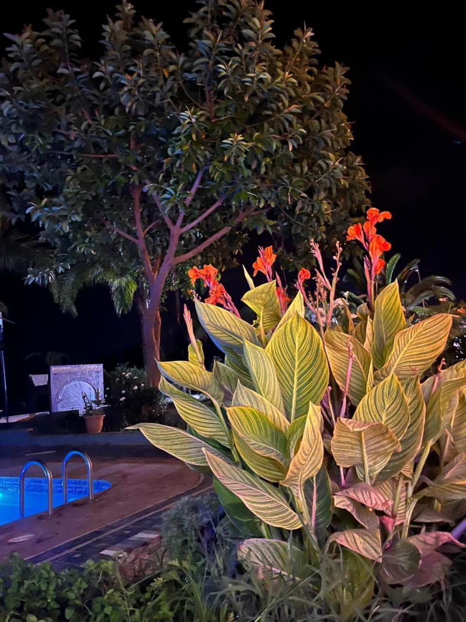 Gite Ecoparadis Madagh Exterior photo